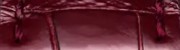 Burgundy: Alligator leather